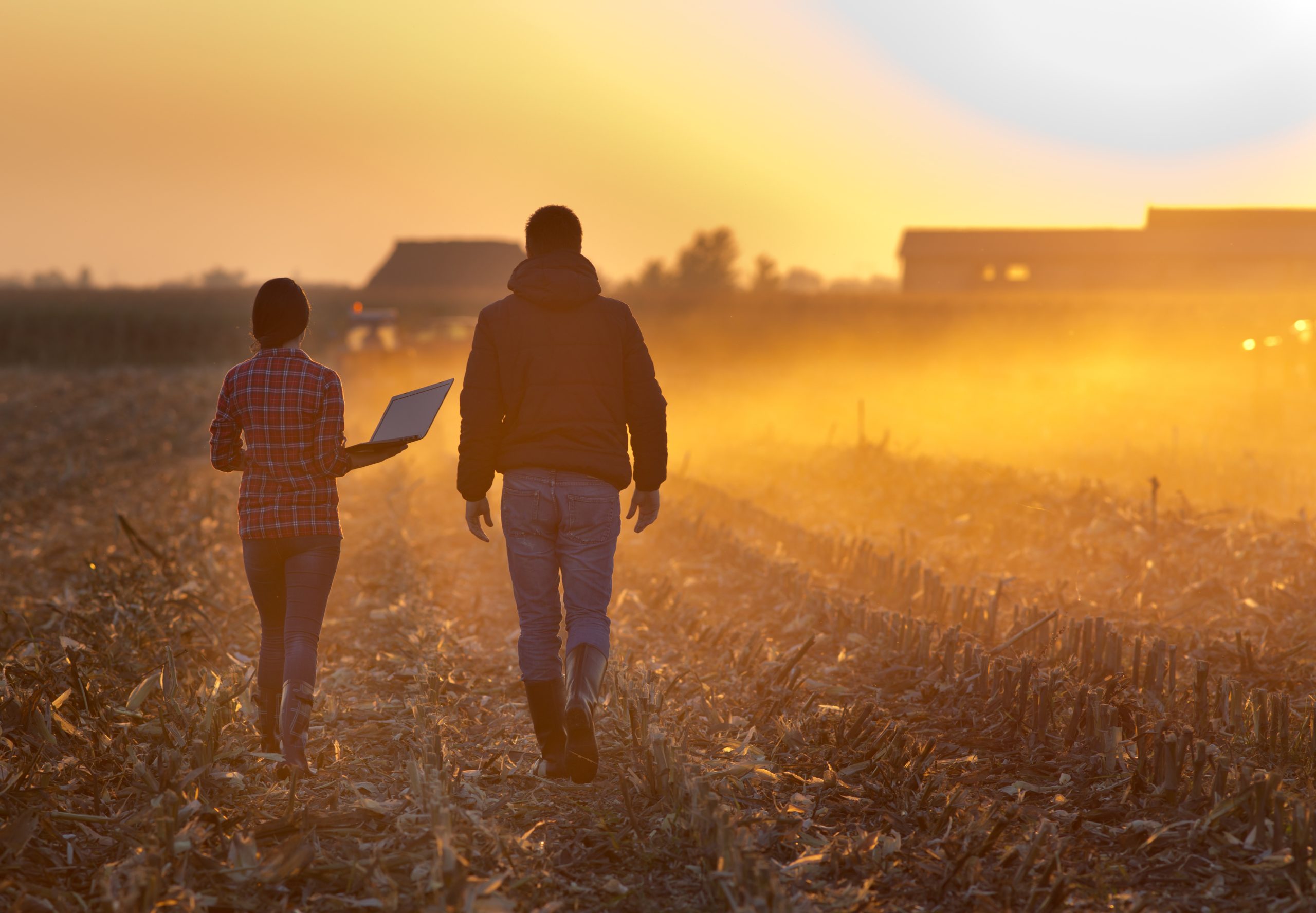 Woman,Engineer,With,Laptop,And,Landowner,Walking,On,Harvested,Corn