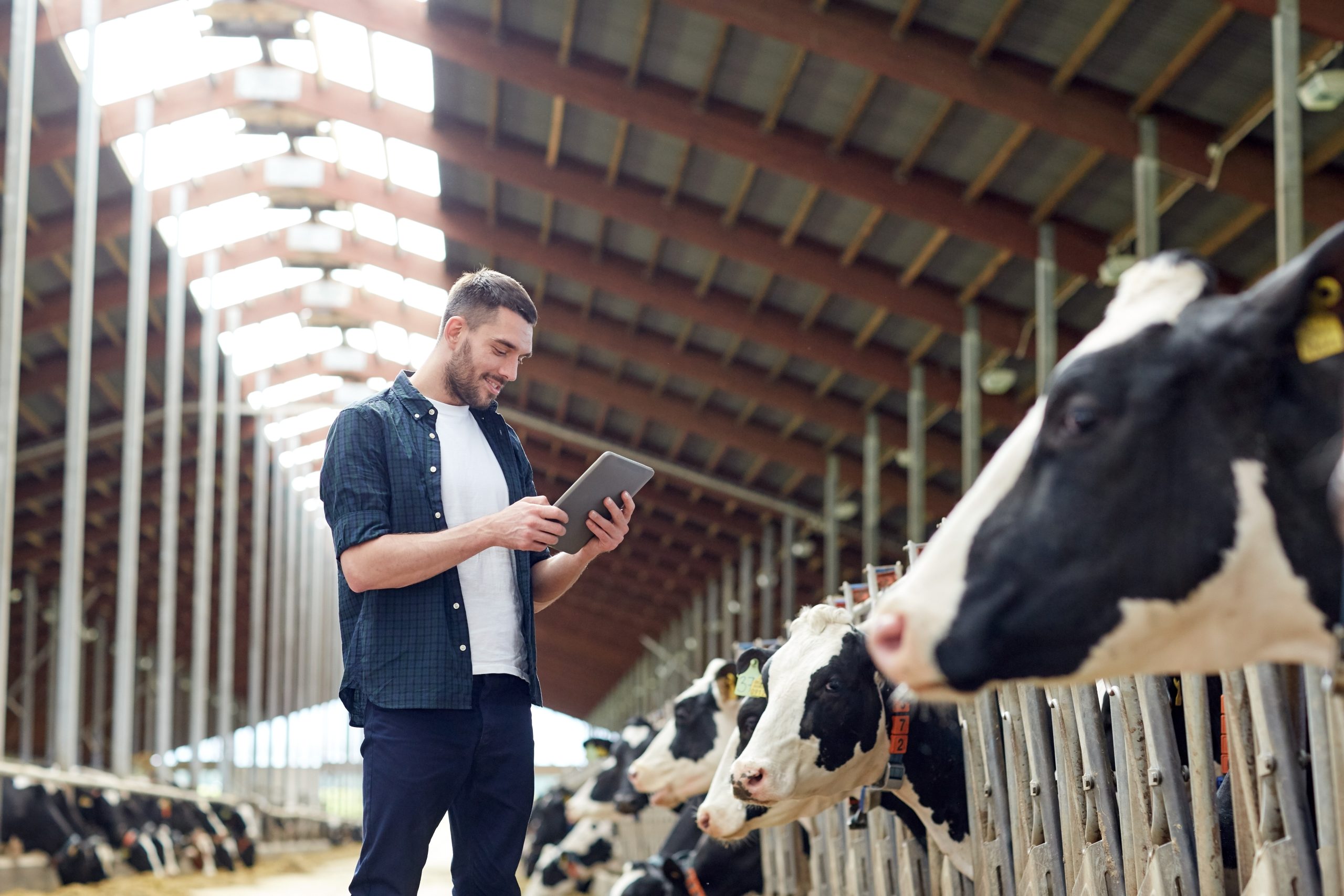 Agriculture,Industry,,Farming,,People,,Technology,And,Animal,Husbandry,Concept,